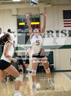Photo from the gallery "Linden @ Notre Dame Prep (NDP Quad)"