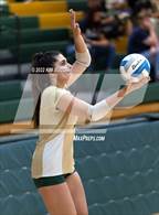 Photo from the gallery "Linden @ Notre Dame Prep (NDP Quad)"