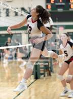 Photo from the gallery "Linden @ Notre Dame Prep (NDP Quad)"