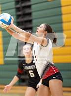 Photo from the gallery "Linden @ Notre Dame Prep (NDP Quad)"