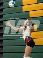 Photo from the gallery "Linden @ Notre Dame Prep (NDP Quad)"