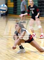 Photo from the gallery "Linden @ Notre Dame Prep (NDP Quad)"