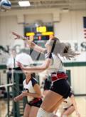 Photo from the gallery "Linden @ Notre Dame Prep (NDP Quad)"