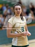 Photo from the gallery "Linden @ Notre Dame Prep (NDP Quad)"