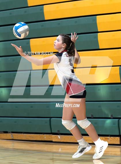 Thumbnail 2 in Linden @ Notre Dame Prep (NDP Quad) photogallery.