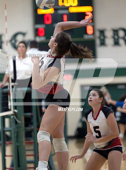 Thumbnail 2 in Linden @ Notre Dame Prep (NDP Quad) photogallery.