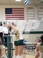 Photo from the gallery "Linden @ Notre Dame Prep (NDP Quad)"