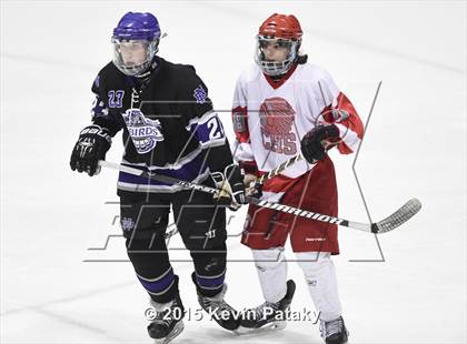 Thumbnail 1 in North Branford vs. Conard (CIAC D2 Semifinal) photogallery.
