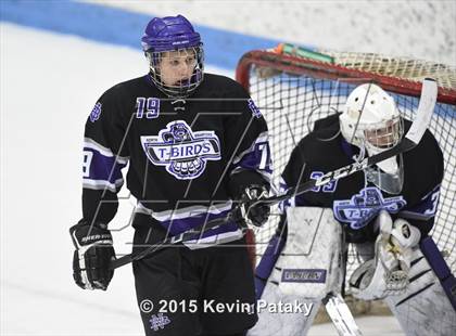 Thumbnail 3 in North Branford vs. Conard (CIAC D2 Semifinal) photogallery.