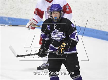 Thumbnail 2 in North Branford vs. Conard (CIAC D2 Semifinal) photogallery.
