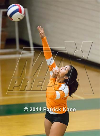 Thumbnail 1 in JV: Hayfield @ Langley photogallery.
