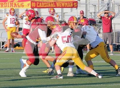 Thumbnail 3 in Cardinal Newman vs Liberty photogallery.