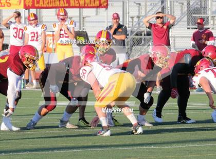 Thumbnail 2 in Cardinal Newman vs Liberty photogallery.