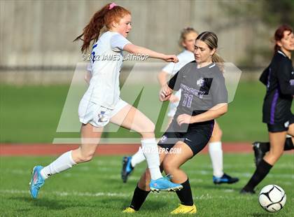 Thumbnail 1 in Irondequoit @ Greece Odyssey photogallery.