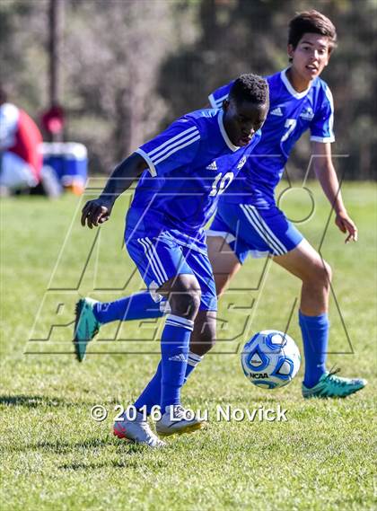Thumbnail 1 in Bosque @ Santa Fe Prep photogallery.