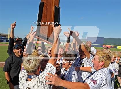 Thumbnail 1 in Avonworth vs. Neumann-Goretti (PIAA 3A Championship) photogallery.