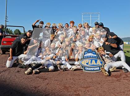 Thumbnail 3 in Avonworth vs. Neumann-Goretti (PIAA 3A Championship) photogallery.