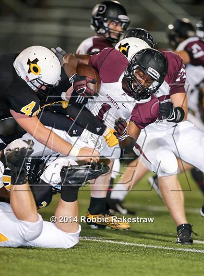 Thumbnail 2 in Princeton @ Crandall photogallery.