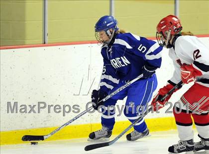Thumbnail 3 in Darien @ New Canaan photogallery.