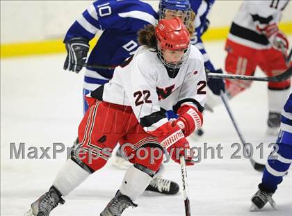Thumbnail 3 in Darien @ New Canaan photogallery.