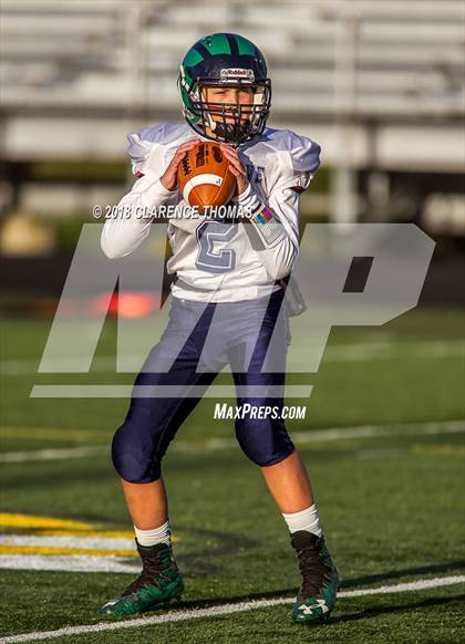 Thumbnail 2 in Woodgrove @ Loudoun Valley photogallery.
