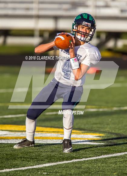 Thumbnail 3 in Woodgrove @ Loudoun Valley photogallery.