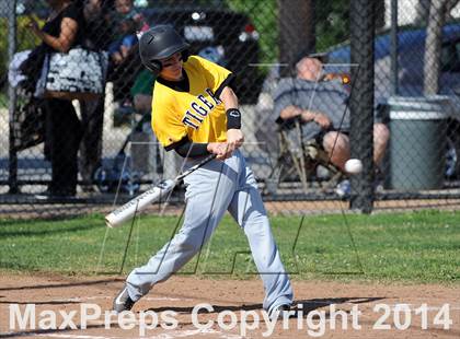 Thumbnail 3 in Bosco Tech @ Gabrielino photogallery.
