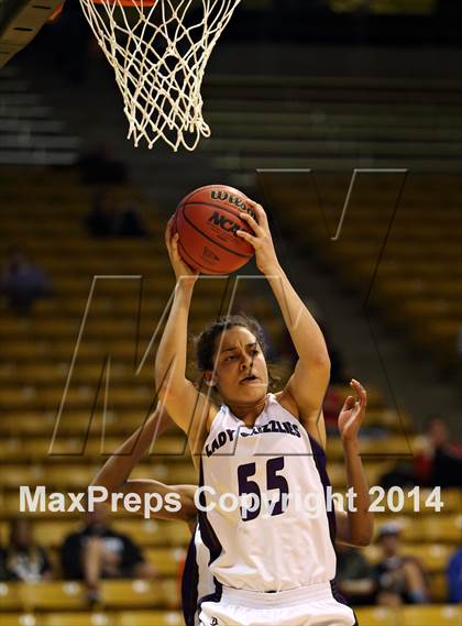 Thumbnail 1 in Mesa Ridge vs. Pueblo South (CHSAA 4A Semifinal) photogallery.