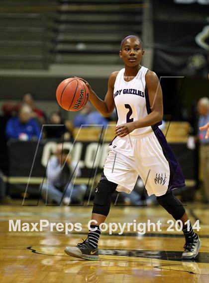 Thumbnail 3 in Mesa Ridge vs. Pueblo South (CHSAA 4A Semifinal) photogallery.