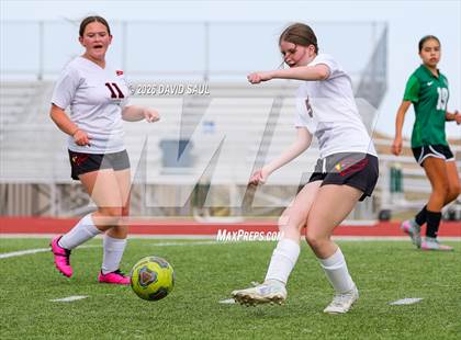 Thumbnail 2 in JV: Elizabeth @ Falcon photogallery.