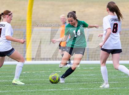 Thumbnail 3 in JV: Elizabeth @ Falcon photogallery.