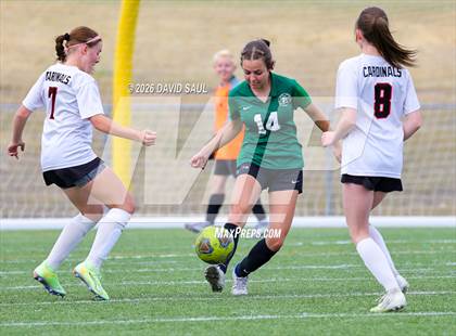 Thumbnail 1 in JV: Elizabeth @ Falcon photogallery.