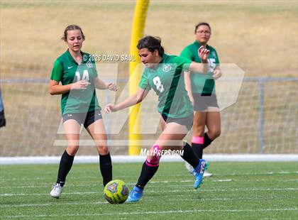 Thumbnail 1 in JV: Elizabeth @ Falcon photogallery.