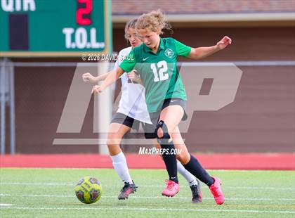 Thumbnail 1 in JV: Elizabeth @ Falcon photogallery.