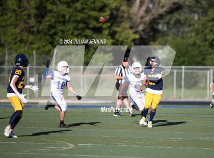 Thumbnail 3 in Timberline (Boise) @ Meridian photogallery.