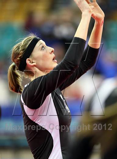 null - Photo 11