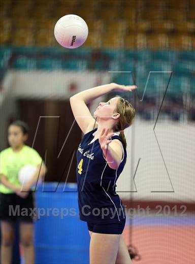 null - Photo 21