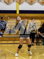 Photo from the gallery "Orland @ Lassen"