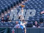 Photo from the gallery "Canyon del Oro @ Estrella Foothills"