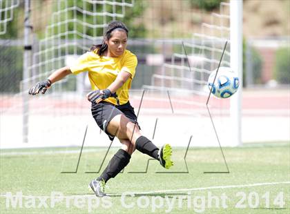 Thumbnail 3 in Chapel Hill vs. Weddington (NCHSAA 3A Final) photogallery.