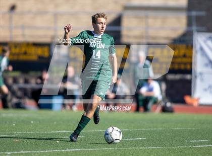 Thumbnail 1 in Avon vs Williamson (Honeoye Falls-Lima Central High School) photogallery.