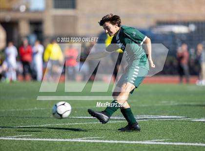 Thumbnail 1 in Avon vs Williamson (Honeoye Falls-Lima Central High School) photogallery.