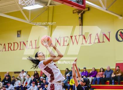 Thumbnail 2 in Piedmont @ Cardinal Newman (CIF NCS Open Division Round 1) photogallery.