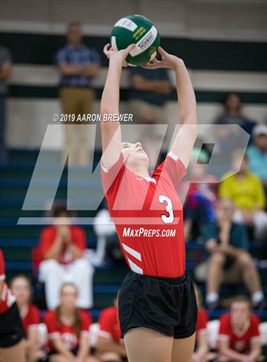 null - Photo 11