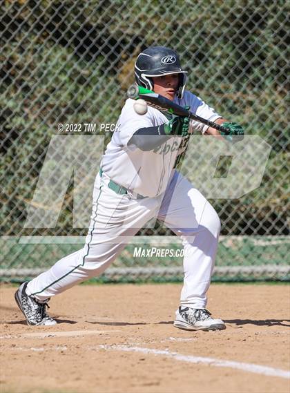 Thumbnail 3 in El Modena @ Brea Olinda photogallery.