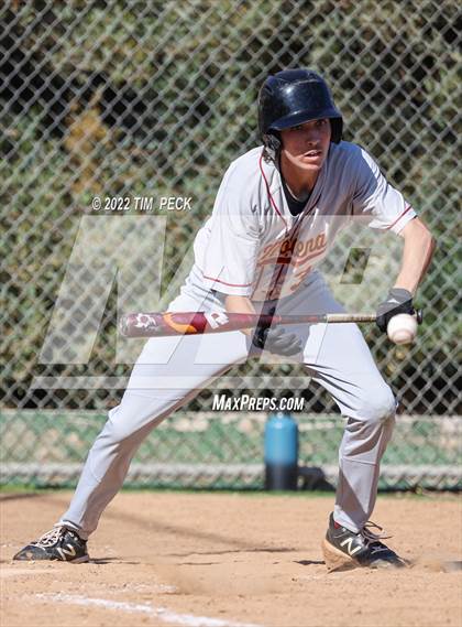 Thumbnail 3 in El Modena @ Brea Olinda photogallery.