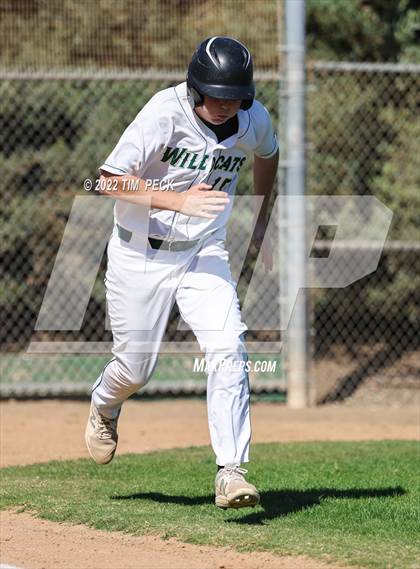 Thumbnail 1 in El Modena @ Brea Olinda photogallery.