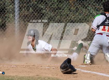 Thumbnail 3 in El Modena @ Brea Olinda photogallery.