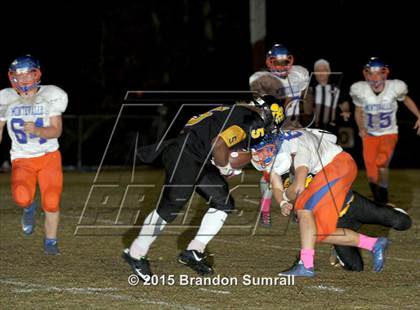 Thumbnail 3 in Montevallo @ Billingsley photogallery.