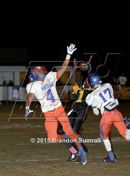 Thumbnail 1 in Montevallo @ Billingsley photogallery.